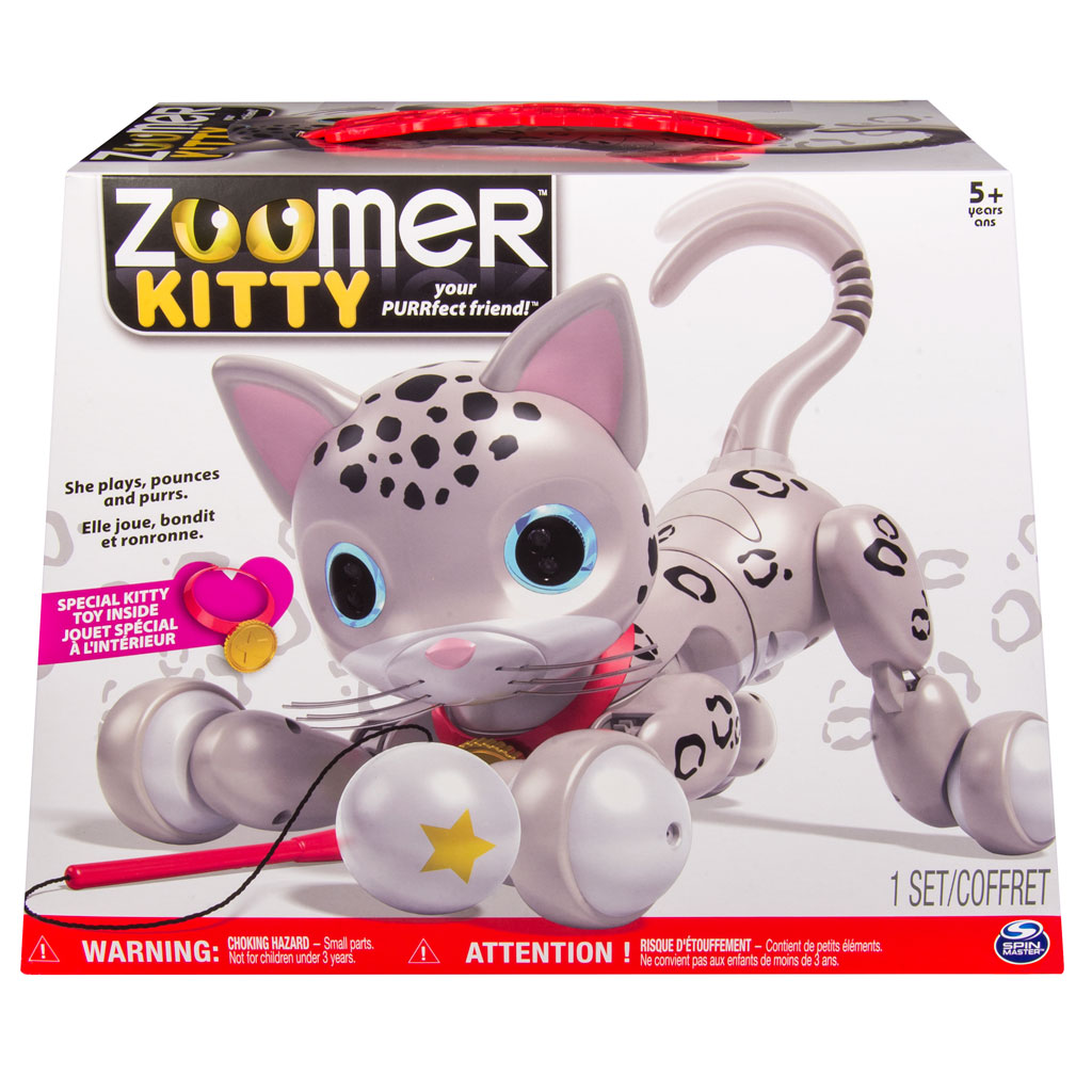 zoomer kitty